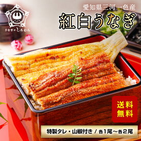 蒲焼き うなぎ 白焼き 紅白 各1尾 各2尾 三河一色産 炭火焼き 国産うなぎ お中元 誕生日 お祝い 内祝 お返し グルメ 国産 ウナギ 鰻 ギフト プレゼント 土用丑 土用の丑の日 敬老の日 ※ ふるさと納税 ではありません ※ 訳あり ではありません