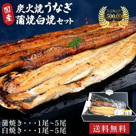 うなぎ 国産 ギフト 鰻 蒲焼 白焼 2尾～【送料無料】ウナギ 炭火焼 長焼 150～180g/尾 敬老の日 お歳暮 夏ギフト 内祝い 誕生日 お取り寄せ グルメ ご褒美