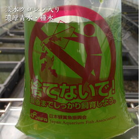 グリーンウォーター 1l 青水 種水 1リットル 淡水クロレラ メダカ 生クロレラ たね水 濃厚 めだか エサ えさ 餌 クロレラ水 ペット 栄養 観賞魚 淡水魚 生体 品種改良メダカ アクアリウム 水槽