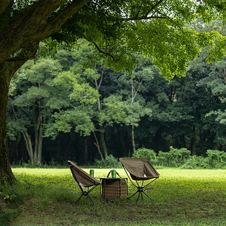 楽天市場】Helinox (ヘリノックス) タクティカルスウィベルチェア リクライニング キャンプ キャンプ用品 アウトドア アウトドア用品 アウトドア チェア 折りたたみチェア 椅子 イス チェア 折りたたみ 折り畳み 軽量 コンパクト 収納 197550030 : UNBY GENERAL  GOODS STORE