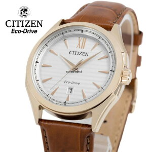 m{nm󏭁nmCOtAfnCITIZEN V`Y Yrv GRhCu V`Y v 41mm Citizen AW1753-10A Eco-Drive Mens Watch 41mm 10ATM AW1753-10A CO 