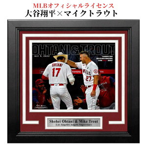 m{nmMLBCZXinmT[XEG[XnmLos Angeles Angels of AnaheimnJĕ }CNgEg Az[̌A_bOAEgŏjĂlq tHgt