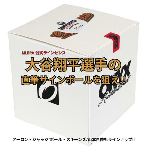 MTC{[m{bNX 2025 IjLX vt@[h vC[Y RNV MTC{[ 싅 zr[{bNX 