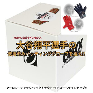 ŎgpςݒMTCobeBOO[um{bNX 2025 IjLX NunEXRNV MTCO[u 싅 zr[{bNX 