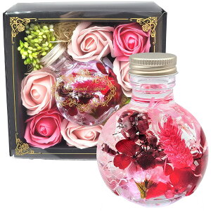 Un usual-store n[oE v[g t[Mtg 2022  蕨 LO a vU[uht[ j \[vt[