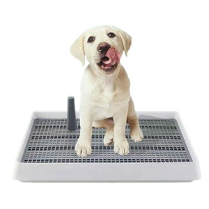 Asdays モルモット トイレ うさぎ トイレ 清潔 お手入れ簡単 大型 38.3×30.9×6.5cm