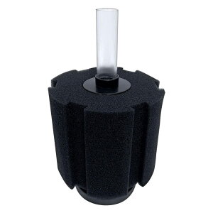 Optimister  rtB^[ X|W  tB^[ ݎtB^[ X|WtB^[ `[u Vv h߃tB^[ tB^[pX|W