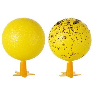 Sugarello RoGƂ S{[ RoGgbv 墎 RoG{[ Esgp SnG US{[ led U