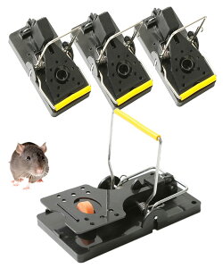 S.fields.inc lY~߂  gbv 4Zbg lߊl Qb쏜 ol nNrV ˂݂Ƃ