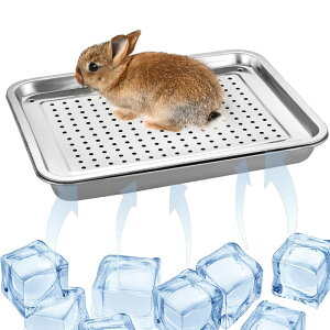 AZNABLE  xbh }bg ybg p}bg  ̗ObY ybgėpxbh