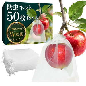 hlbg i20×15cmx50ZbgjyA琬̃vWďCzԂ̊ȒPxWȂ