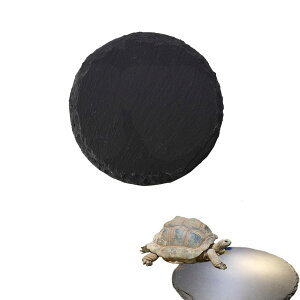 HAPPY SUGAR T {[h ঒  nv[g n v ۉ ێ VR  J NK ybgpi }bg q[^[ T[N