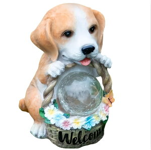 bubulu q u \[[Cg \[[[d OƖ K[fjOG K[fjO ֓ LED  Ɩ v _ yz