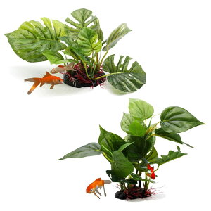 Archnote ANAE lH   lH Zbg CAEg  Mы eg (SEMj