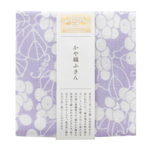 쐭X Dӂ H  Ԃǂ { Mtg 蕨 Lb`NX