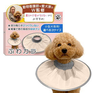 GUxXJ[ iӂJjybt×gCv[2C̈ƊďCz^pxyʂŉȂfx\tg^Cvxp̃PApi