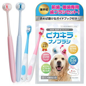 VEGAHOPE  uV [btE KChubNt] puV imuV ^ ^ uV  oPA