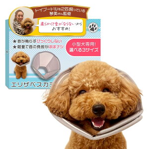 SIMPS GUxXJ[ yƊďCzlp݌vx^pxyʂŉȂfx\tg^Cvxp̃PApi