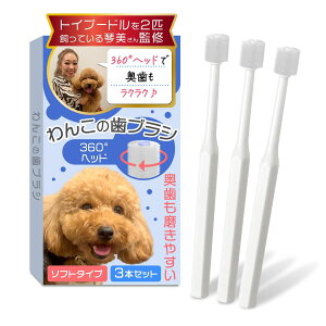 わんこの歯ブラシ(小型犬専用)【トイプー2匹の愛犬家監修x360度タイプ】3本セットx奥歯も磨けるヘッドが小さいモデル