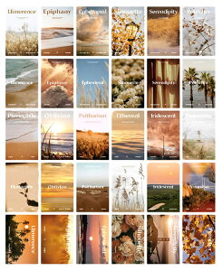 mhi[nŉ |XgJ[h 25Zbg ͂TCY k ؍ CO CeA G ~j|X^[