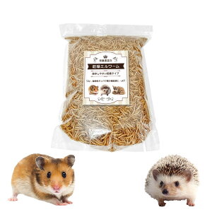 y{{ꐄz h{LxȊ~[ hC ~[   ঒ ς I ɂƂ nX^[ tNK 쒹̉a Y