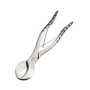 FUKUMIDO ފ y`  O~ nT~ H AEghA JS K[f P[X d DIY ؍ IC ޖ h{  a