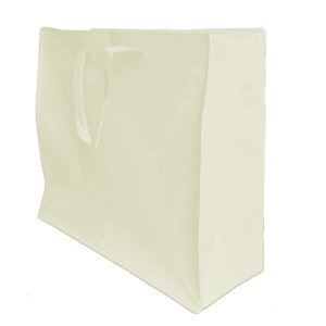 sac taske sDz i[ obO  e G` 񂰑 w Jo 10