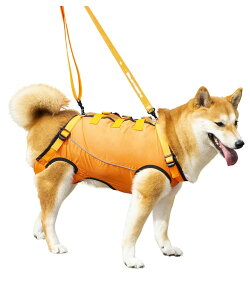 ysyz pn[lX  n[lX  s⏕ V s⏕n[lX nr pi  pi s 