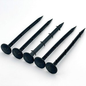 LEXOR hV[g Œ s PPY 100{  s ɂ h V[g   yO B | ؉  K[fjO G _ 