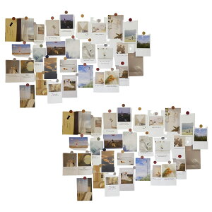 mhi[nŉ |XgJ[h 30Zbg ͂TCY k ؍ CO CeA G ~j|X^[