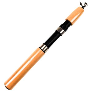 CHASO ނ 75cm RpNgbh Uobh ނ JTM TrL  Z ^ V[g bh ފ q Lv ނ 