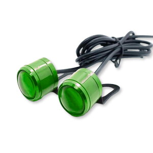 Lezalic Xg{Cg LED 12V 2Zbg tbV oCN  RpNg fCCg _ X|bg  JX^ ėp