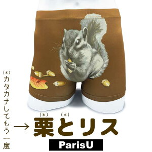 yhOƃXz  Aj} yY  A h {NT[pc Y F XL 傫TCY   uh  v[g Mtg Lт ΂ A_[EFA 