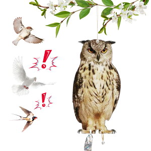 yr[TtzObY 悯  tNE JX ng΍ XYEco L ΂ O x_ ʎ _앨 _