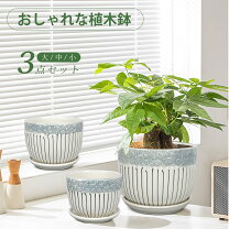 楽天市場】植木鉢 陶器 3点の通販