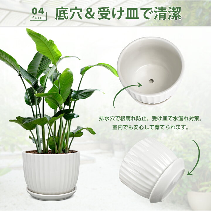 AOBOPO 北欧風おしゃれ白陶器植木鉢 丸型受け皿付き セラミック鉢 底穴あり 葉植物用 玄関バルコニー庭に最適 室内部屋インテリ 楽天市場】植木鉢 陶器製 北欧デザイン 受け皿付き 底穴排水 多肉植物 観葉植物 おしゃれな植木鉢 3点セット S/M/L : 三日月の森楽天市場店