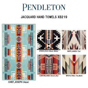 PENDLETON(yhg)nh^I tFCX^I Rbg WK[h ^I r[` v[ W[ AEghA 76.2x45.7cm Mtg  XB219