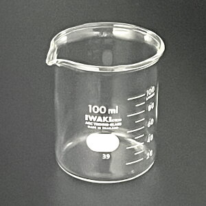 �r�[�J�[��IWAKI��100mL