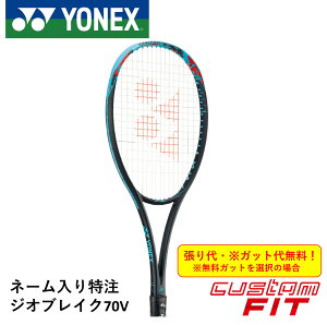 yl[\zyzyJX^tBbgzyKbgE㖳zlbNX YONEX \tgejXPbg WIuCN70V GEO70V 02GB70VN301