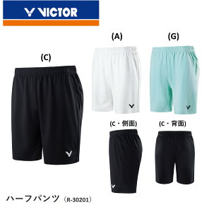 rN^[ VICTOR n[tpc R-30201 oh~gEejX