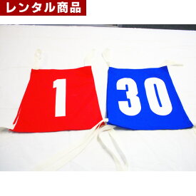 【レンタル】 カラーゼッケン ナンバー入り1〜30 1枚当たり