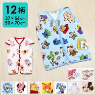 ディズニー ベビースリーパー 37×56cm/キッズスリーパー 50×70cm ニューマイヤー 起毛 Disney トイスト…