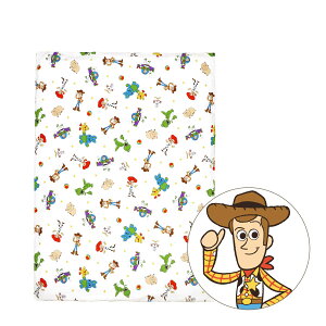 fBYj[ Q~zc 70×120cm ݖ3cm100 Disney v[ g ~bL[ ~j[ gCXg[[ vZX J[Y cc j̎q ̎q Q ~zc ~zcJo[ Qzc 