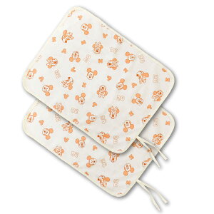 yN[|szfBYj[ ނւV[g 2Zbg 45×58cm Disney v[~bL[ ~j[ 100 pC zH ʖh AC{[ un doudou [֔(|Xg) NP