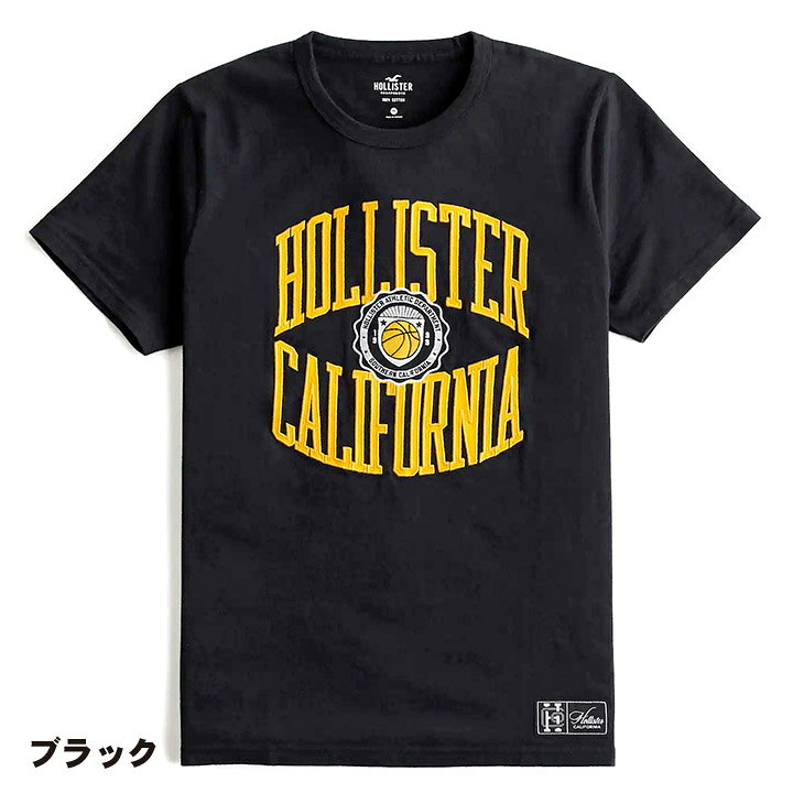 楽天市場】ホリスター メンズ 刺繍アップリケ ロゴグラフィック半袖T 