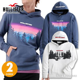 ホリスター メンズ プリントロゴグラフィック フーディー プルオーバーパーカー アウトドア Hollister Logo Graphic Hoodie 2カラー●ブルー ●ホワイト