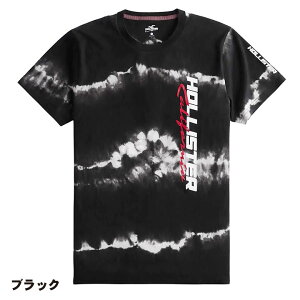 �z���X�^�[ �����Y �E�H�b�V�����H �v�����g���S�O���t�B�b�N����T�V���c Hollister Wash Effect Print Logo Graphic Tee 2�J���[�F���z���C�g�A���u���b�N