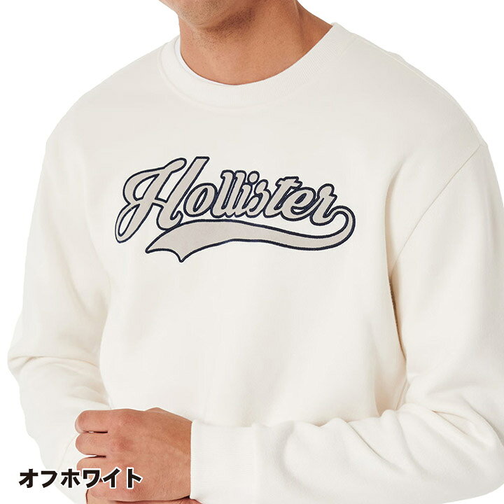 楽天市場】ホリスター メンズ 刺繍ロゴグラフィック クルーネック 