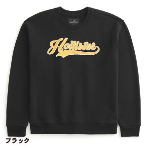 ホリスター パーカー の人気商品一覧・価格比較 - 価格 com