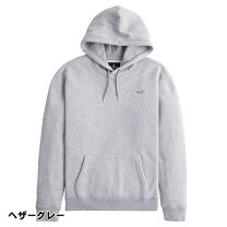楽天市場】HOLLISTER ホリスター（カラーグレー）（メンズファッション 